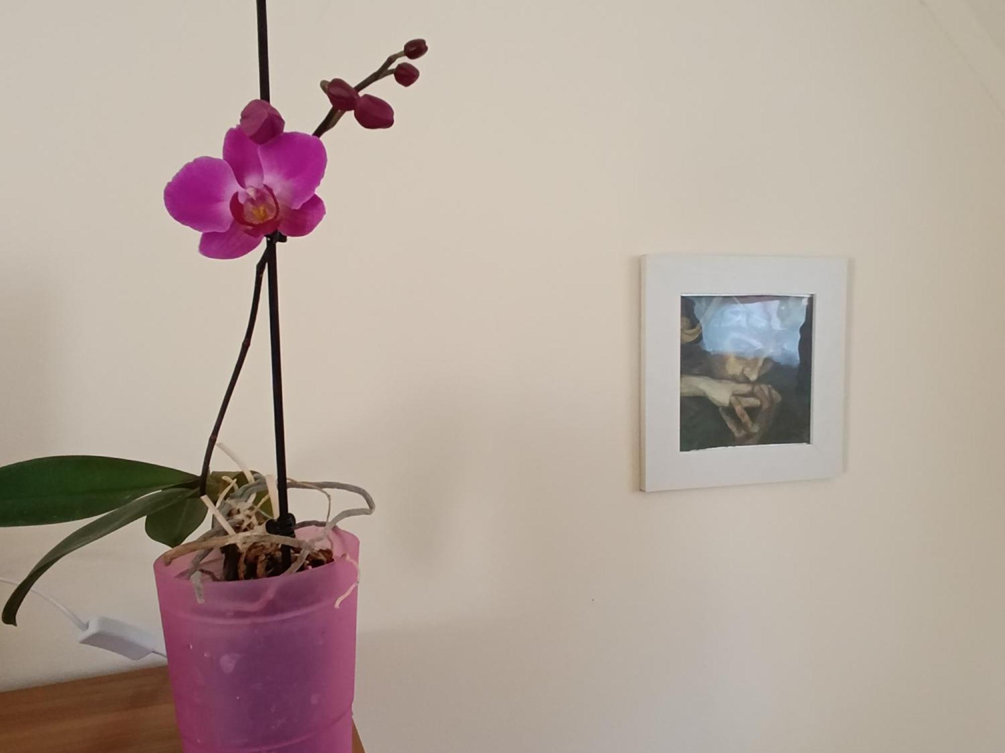 Céhmesterek apartman Eger Buitenkant foto